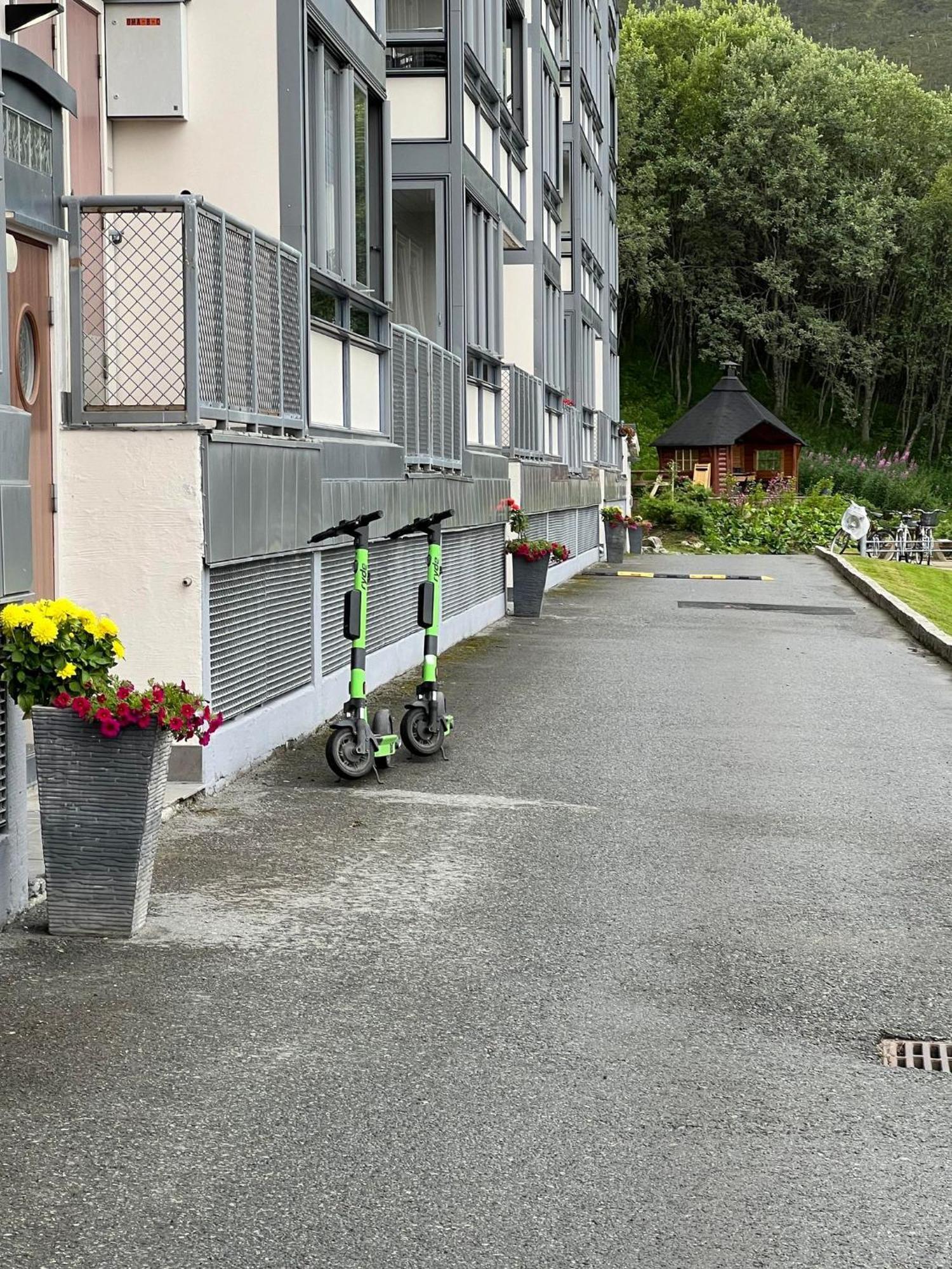 Arctic Inn, Cozy Single Bed Private Room In A Shared Apartment With Stunning Tromso Views المظهر الخارجي الصورة